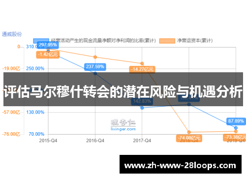 评估马尔穆什转会的潜在风险与机遇分析